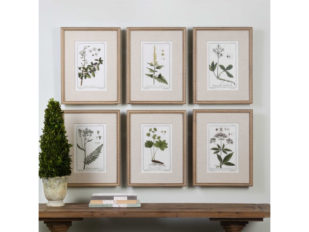 Green Floral Botanical Study Framed Prints, S/6